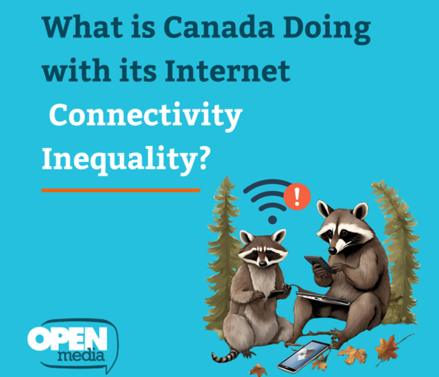 Internet Connectivity Innequality