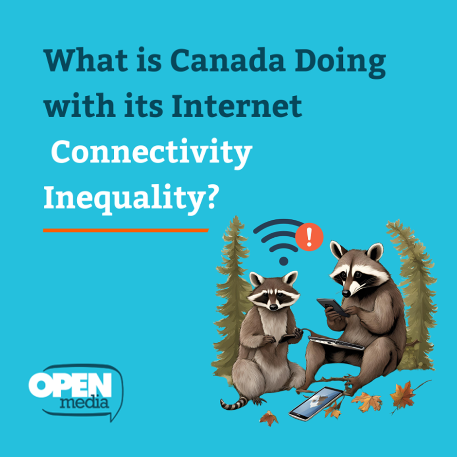 Internet Connectivity Innequality